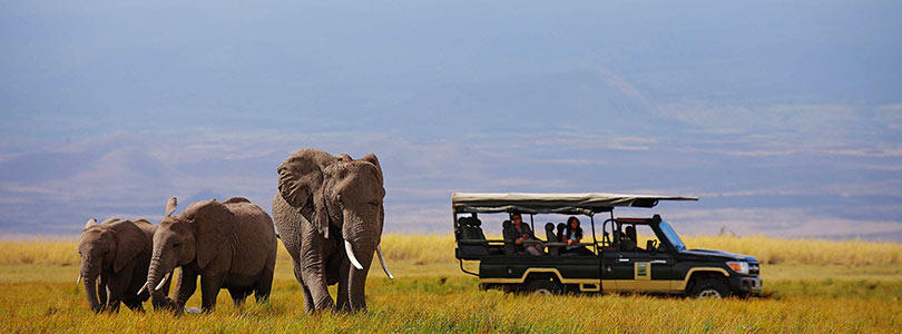 Essential Tips for Planning the Best Safaris in Kenya