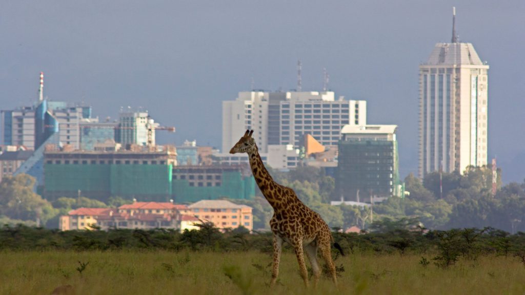 Nairobi: A Comprehensive Guide to Embracing the Vibrancy of Kenya's Capital