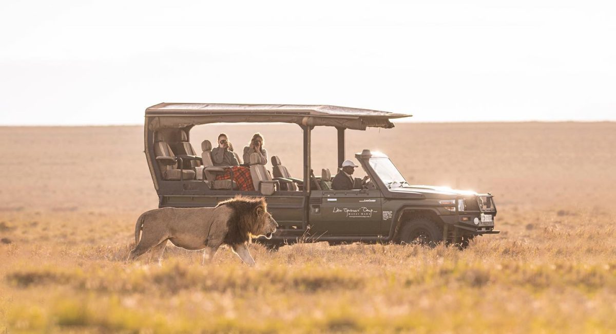 African Safari Itineraries – Safari Itinerary – African Safaris – Safari Holidays – Cheetah Safaris UK African Safari Itineraries - Safari Itinerary - African Safaris - Safari Holidays - Cheetah Safaris UK