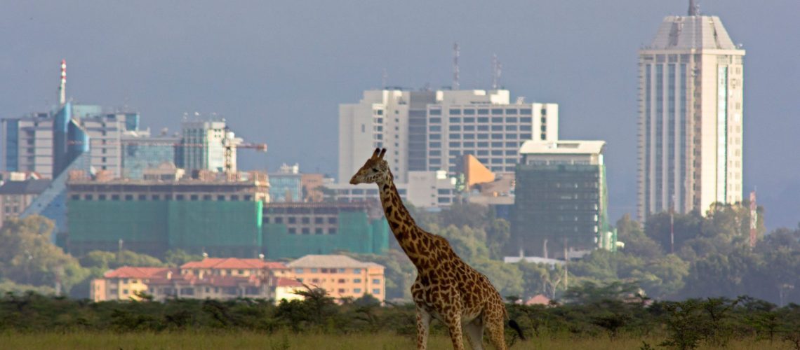 Nairobi: A Comprehensive Guide to Embracing the Vibrancy of Kenya's Capital